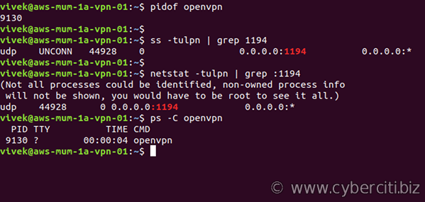 ubuntu vpn server for mac